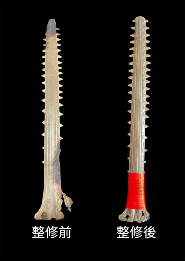冠榤宗教法器,鯊魚劍修復(需私訊討論)